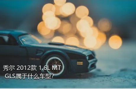 秀尔 2012款 1.6L MT GLS属于什么车型？