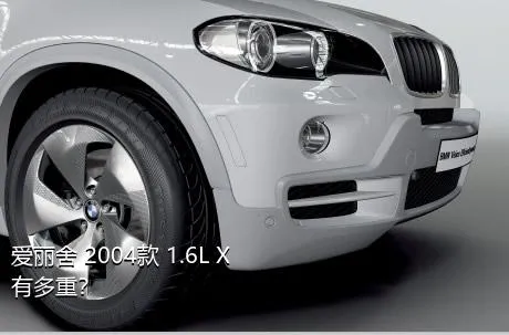 爱丽舍 2004款 1.6L X有多重？
