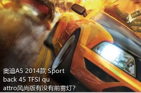 奥迪A5 2014款 Sportback 45 TFSI quattro风尚版有没有前雾灯？