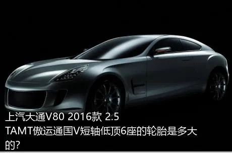 上汽大通V80 2016款 2.5TAMT傲运通国V短轴低顶6座的轮胎是多大的？