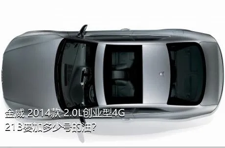 金威 2014款 2.0L创业型4G21B要加多少号的油？