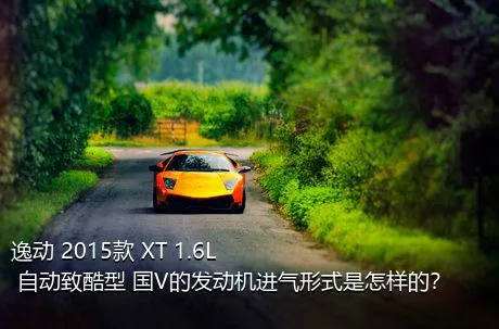 逸动 2015款 XT 1.6L 自动致酷型 国V的发动机进气形式是怎样的？
