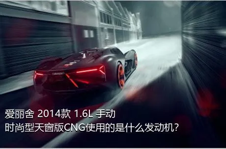 爱丽舍 2014款 1.6L 手动时尚型天窗版CNG使用的是什么发动机？