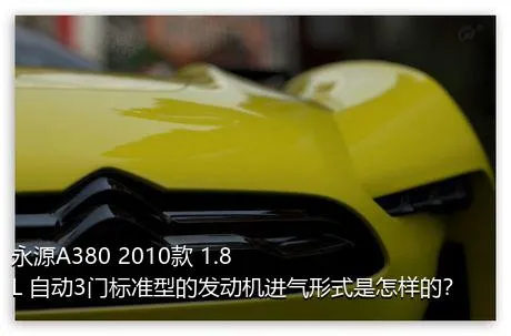 永源A380 2010款 1.8L 自动3门标准型的发动机进气形式是怎样的？