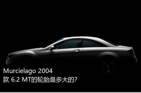 Murcielago 2004款 6.2 MT的轮胎是多大的？