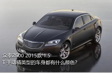 众泰Z500 2015款 1.5T 手动精英型的车身都有什么颜色？