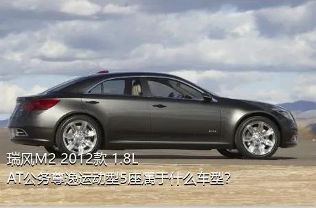 瑞风M2 2012款 1.8L AT公务尊逸运动型5座属于什么车型？