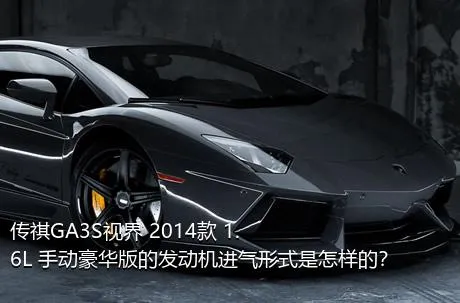 传祺GA3S视界 2014款 1.6L 手动豪华版的发动机进气形式是怎样的？
