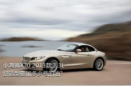 小海狮X30 2013款 1.3L舒适型要加多少号的油？
