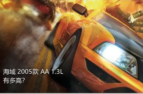 海域 2005款 AA 1.3L有多高？