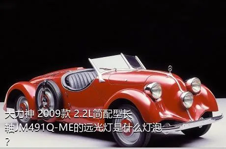 大力神 2009款 2.2L简配型长轴JM491Q-ME的远光灯是什么灯泡？