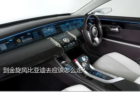 到金旋风比亚迪去应该怎么走？