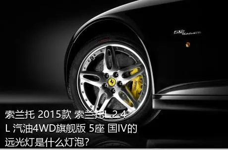 索兰托 2015款 索兰托L 2.4L 汽油4WD旗舰版 5座 国IV的远光灯是什么灯泡？