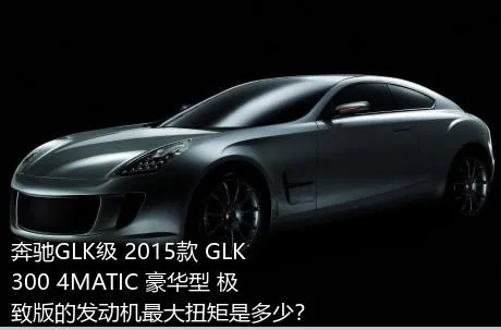奔驰GLK级 2015款 GLK 300 4MATIC 豪华型 极致版的发动机最大扭矩是多少？