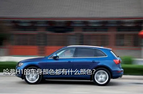 哈弗H1的车身颜色都有什么颜色？