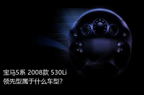 宝马5系 2008款 530Li 领先型属于什么车型？