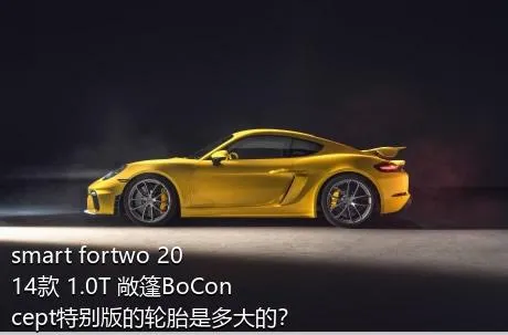 smart fortwo 2014款 1.0T 敞篷BoConcept特别版的轮胎是多大的？