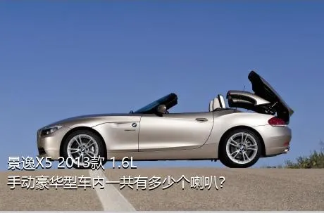 景逸X5 2013款 1.6L 手动豪华型车内一共有多少个喇叭？