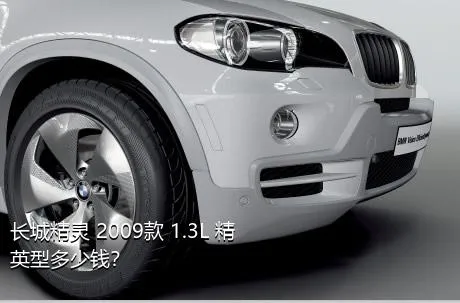 长城精灵 2009款 1.3L 精英型多少钱？