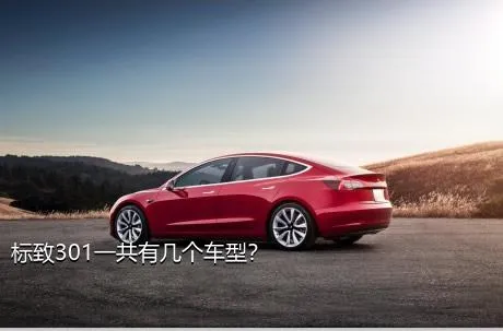标致301一共有几个车型？