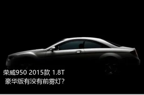 荣威950 2015款 1.8T 豪华版有没有前雾灯？