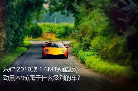 乐骋 2010款 1.6MT劲酷版(劲黑内饰)属于什么级别的车？