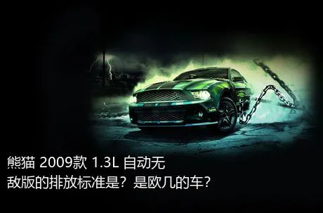 熊猫 2009款 1.3L 自动无敌版的排放标准是？是欧几的车？