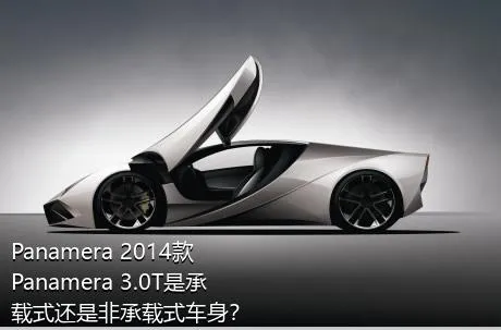 Panamera 2014款 Panamera 3.0T是承载式还是非承载式车身？
