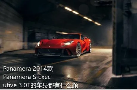 Panamera 2014款 Panamera S Executive 3.0T的车身都有什么颜色？