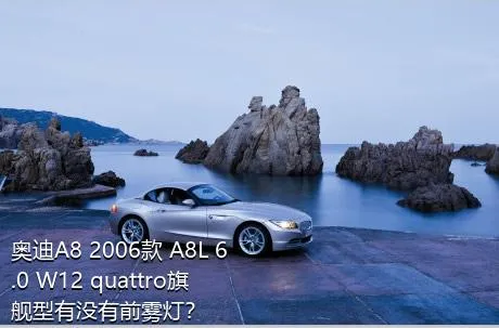 奥迪A8 2006款 A8L 6.0 W12 quattro旗舰型有没有前雾灯？