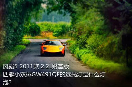 风骏5 2011款 2.2L财富版 四驱小双排GW491QE的远光灯是什么灯泡？