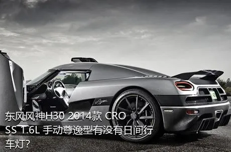 东风风神H30 2014款 CROSS 1.6L 手动尊逸型有没有日间行车灯？