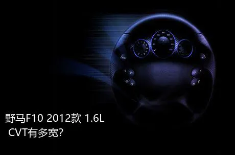 野马F10 2012款 1.6L CVT有多宽？