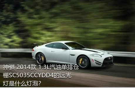 神骐 2014款 1.3L汽油单排仓栅SC5035CCYDD4的远光灯是什么灯泡？