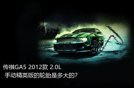 传祺GA5 2012款 2.0L 手动精英版的轮胎是多大的？