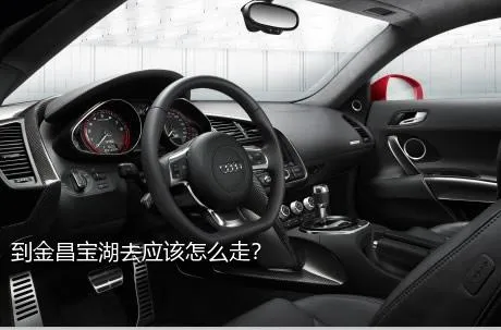 到金昌宝湖去应该怎么走？