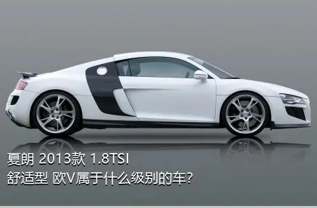 夏朗 2013款 1.8TSI 舒适型 欧V属于什么级别的车？
