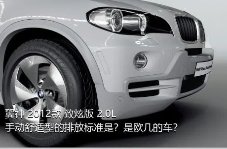 翼神 2012款 致炫版 2.0L 手动舒适型的排放标准是？是欧几的车？