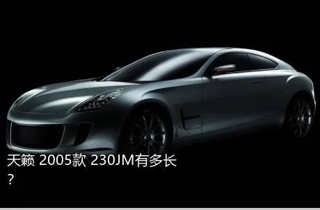 天籁 2005款 230JM有多长？