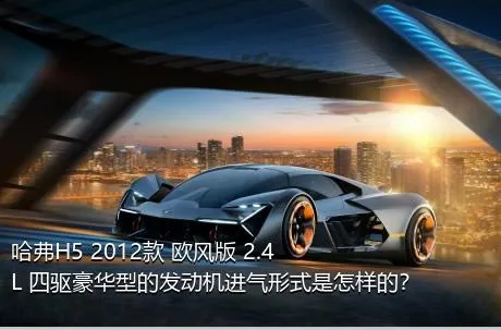 哈弗H5 2012款 欧风版 2.4L 四驱豪华型的发动机进气形式是怎样的？