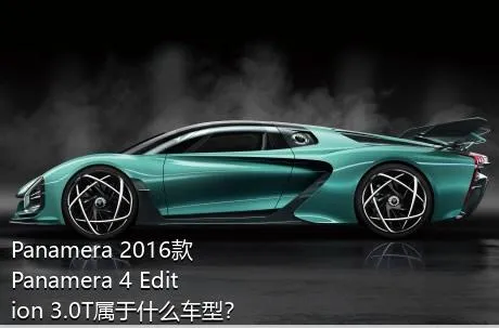Panamera 2016款 Panamera 4 Edition 3.0T属于什么车型？