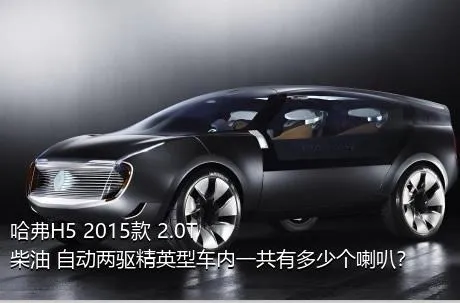哈弗H5 2015款 2.0T 柴油 自动两驱精英型车内一共有多少个喇叭？