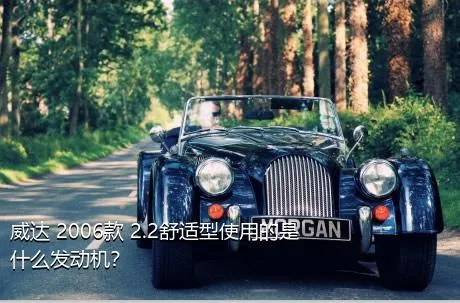 威达 2006款 2.2舒适型使用的是什么发动机？