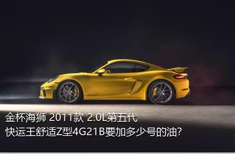 金杯海狮 2011款 2.0L第五代快运王舒适Z型4G21B要加多少号的油？