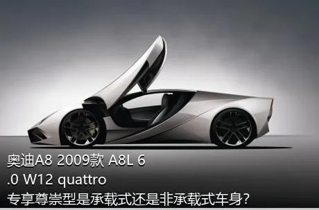 奥迪A8 2009款 A8L 6.0 W12 quattro 专享尊崇型是承载式还是非承载式车身？