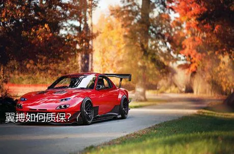 翼搏如何质保？