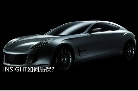 INSIGHT如何质保？