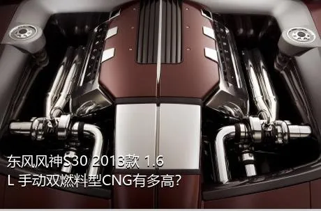 东风风神S30 2013款 1.6L 手动双燃料型CNG有多高？