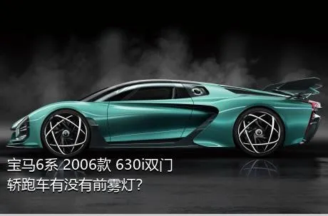 宝马6系 2006款 630i双门轿跑车有没有前雾灯？