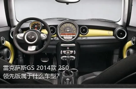 雷克萨斯GS 2014款 250 领先版属于什么车型？